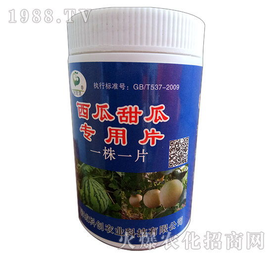 ������ό���һ��һƬ-�Ƶ��A