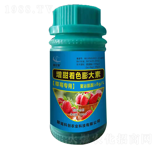 ��ݮ����������ɫ�����-�Ƶ��A