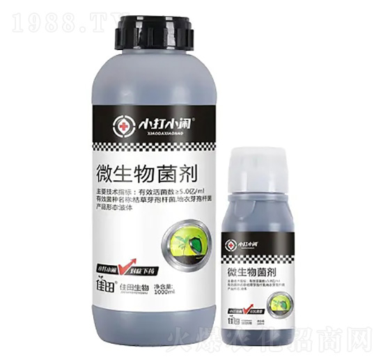 ΢�������-С��С�[-��������