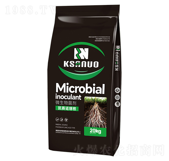 ΢�������-�Pِ�Z����-�Pِ�Z