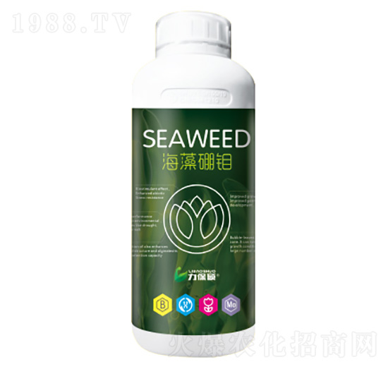 ��Ȼ�������f-�����T-���A�r(n��ng)�I(y��)