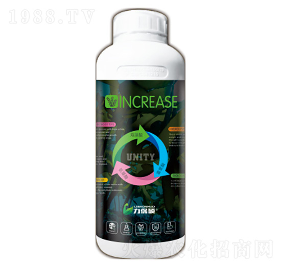 INCREASE-�����T-���A�r�I(y��)