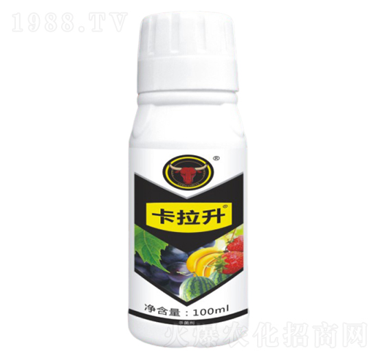 �׷ی�(zhu��n)��-������-��ţ��(gu��)�H