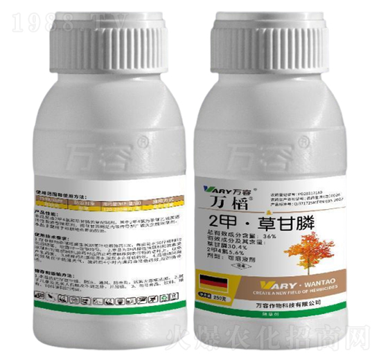 36%2�ס��ݸ��-�f�w-�f��