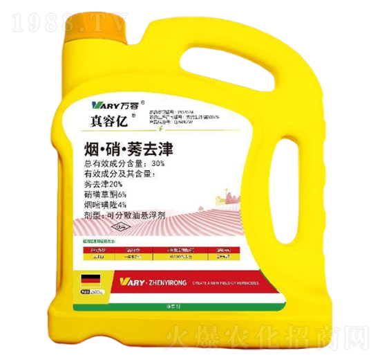 30%��������ݬȥ��-���݃|-�f(w��n)��