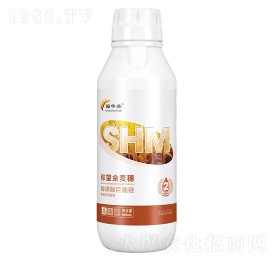 ϩ������ܹ�-����������-���A��