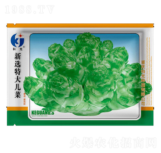 ���x�ش󃺲�-�ƹ�N��