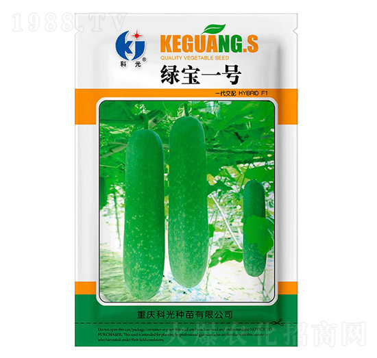 �G��1̖����-�ƹ�N��