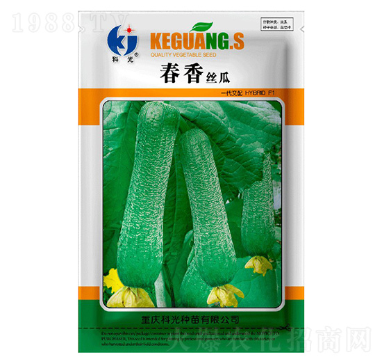 ����z��-�ƹ�N��