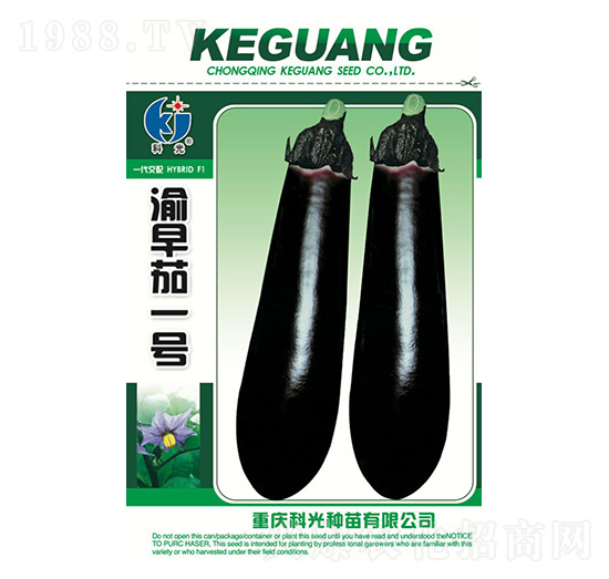 ������1̖-�ƹ�N��