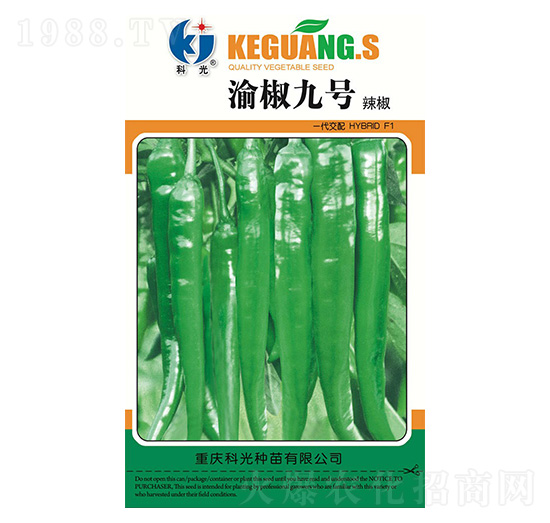 �彷9̖-�ƹ�N��