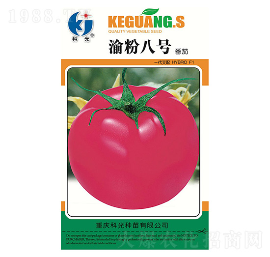 ���8̖-�ƹ�N��