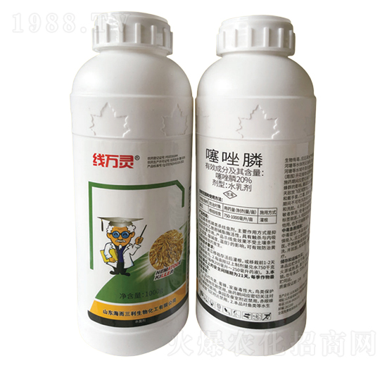 20%�����-���f�`-��������