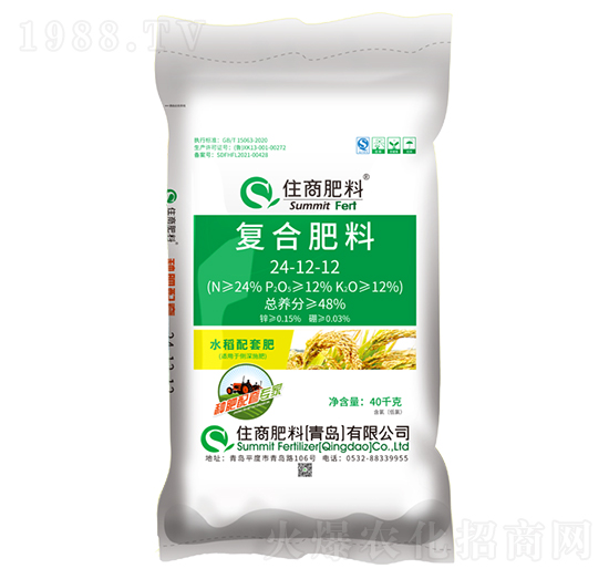 �N�����׌��ҏ�(f��)�Ϸ���24-12-12-ס�̷���