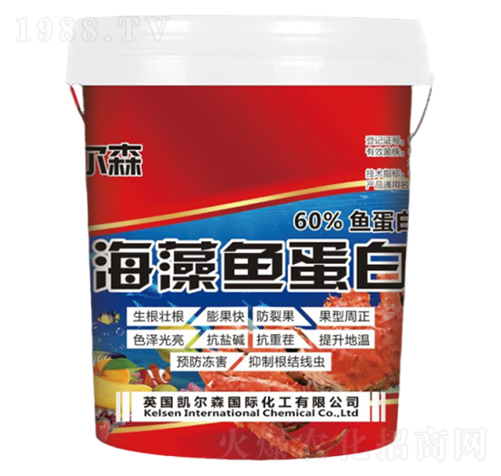 �����~����-�P��ɭ-����Ƽ�