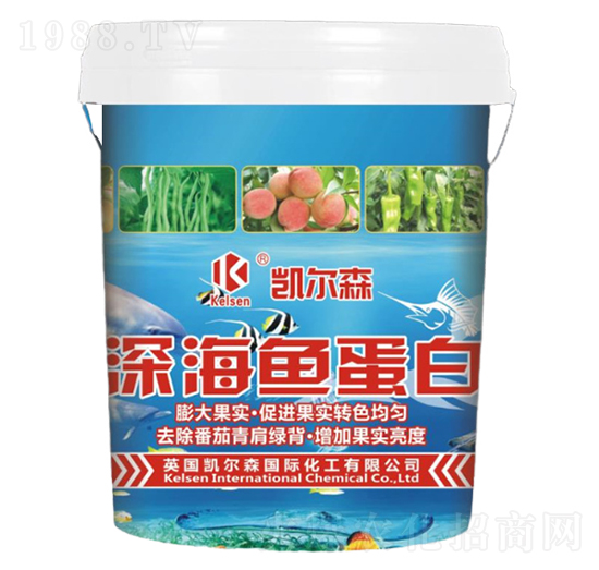 ��~(y��)����-�P��ɭ-����Ƽ�