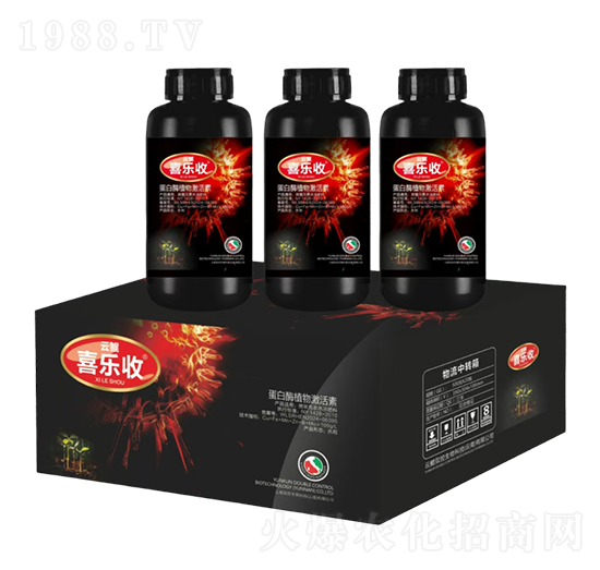 ����øֲ�Ｄ����-�t̫�(y��ng)