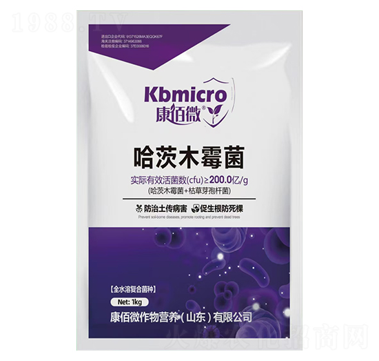 ����ľù��-����΢