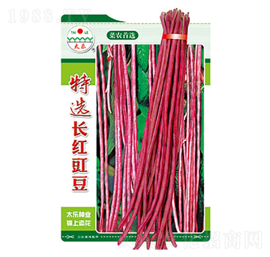 �����N��-���x�L(zh��ng)�t����-̫��(l��)�N�I(y��)