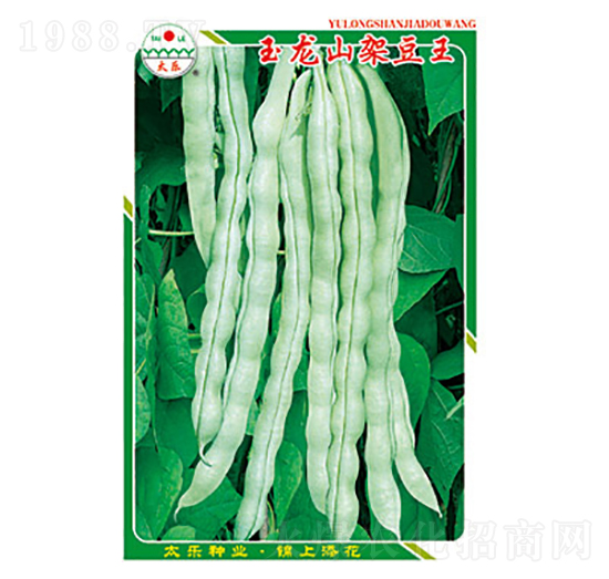 �����N��-����ɽ�ܶ���-̫��(l��)�N�I(y��)