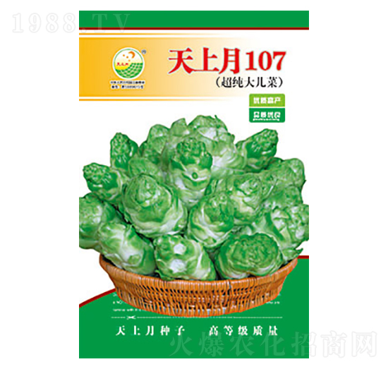 ���˷N��-������107-̫���N�I(y��)