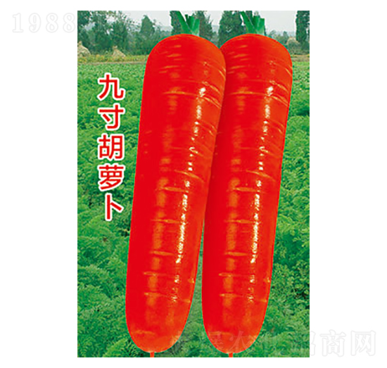 �}���N��-�Ŵ���}��-̫���N�I(y��)