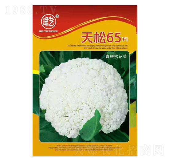 ���˷N��-����65-���S�r(n��ng)�I(y��)