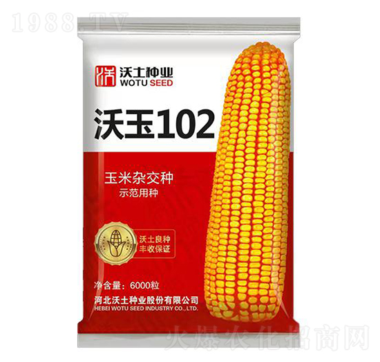 ����102-���׷N��-�����N�I(y��)