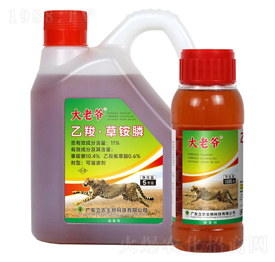 11%���ȡ����@�-���Ϡ�-�V�|���r(n��ng)