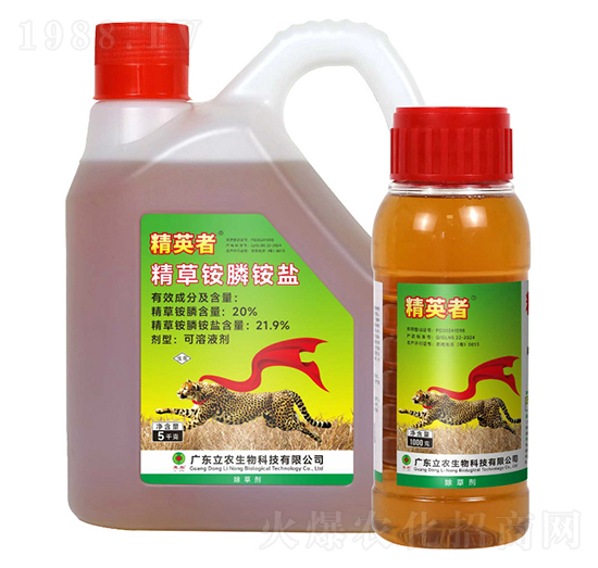 20%�����@�-��Ӣ��-�V�|���r(n��ng)