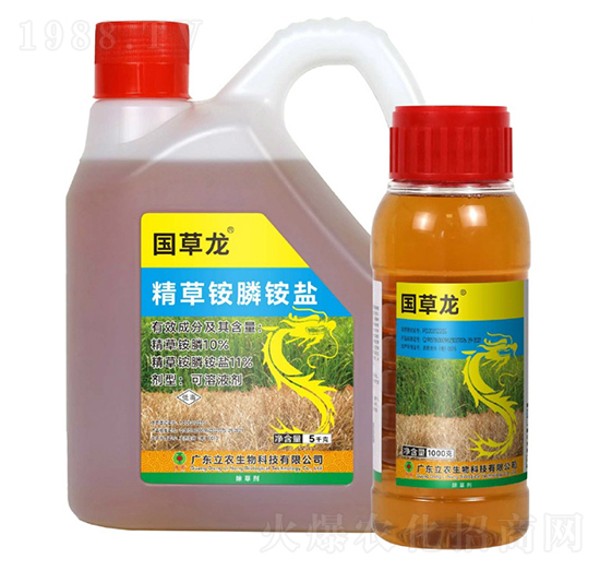 10%�����@�-��(gu��)����-�V�|���r(n��ng)