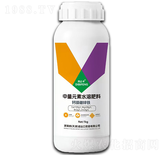 �}�V���F�\-�α��S-껵�����