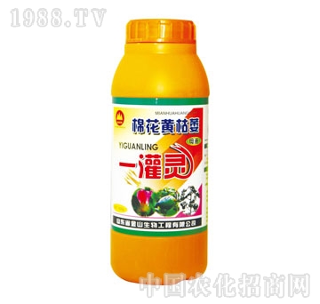 ��ɽ����-�޻��S��ήһ���`