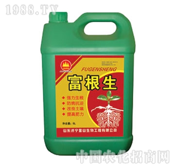 ��ɽ����-�������_ʩ��