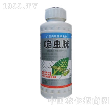 ��������-��x(ch��ng)��