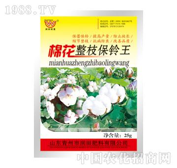 ����-�޻���֦���?f��)? />
                                </div>
                            </div>
                            
                            <style type=