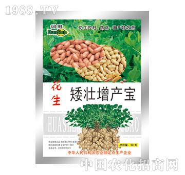 ����-�����������a��