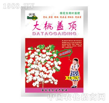 ����-�����w�