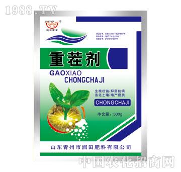 ����-�ز焩