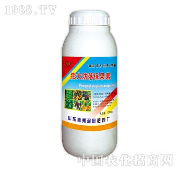 ����-�����䱣����