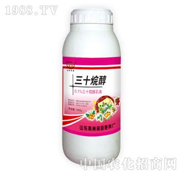 ����-��ʮ�鴼