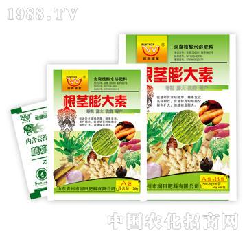 ����-���o�����A+B