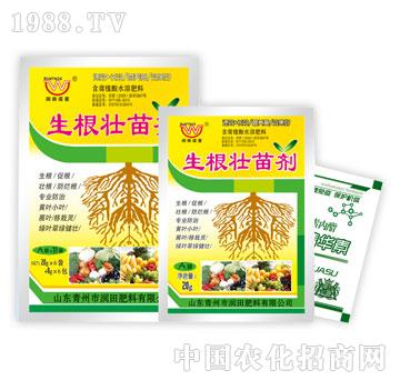 ����-�������焩A+B