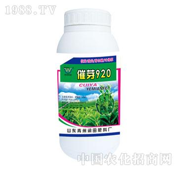 ����-��ѿ920