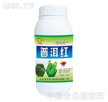 ��(r��n)��-�ն��t