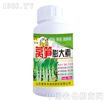 ��(r��n)��-�n�S�����