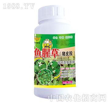 ��(r��n)��-�~(y��)�Ȳ�