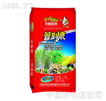 ����ٺ�-�ܵ���