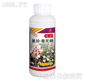 �G�S-�ē�-��⏶�����