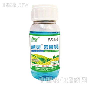 ��ʩ��-�{�`�|̦�}